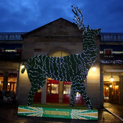 Giant Reindeer