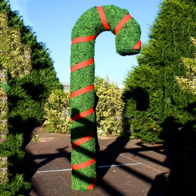 Giant Candy Cane