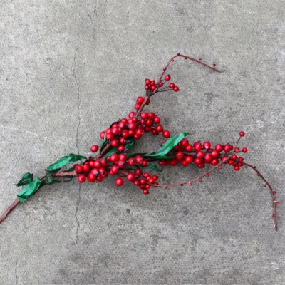 Red Berry Sprigs