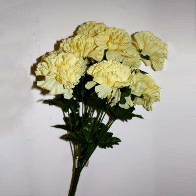 Pale Yellow Carnations