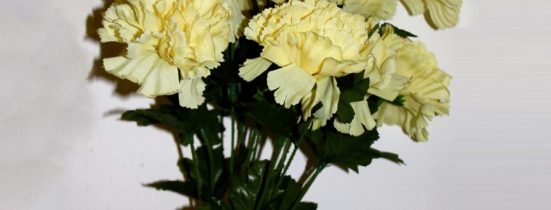 Pale Yellow Carnations