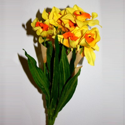 Yellow & Orange Daffodils Bunch