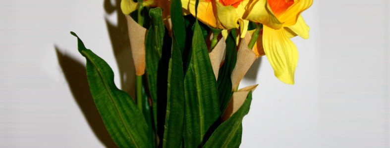 Yellow & Orange Daffodils Bunch