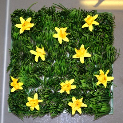 Grass Squares with Daffodils