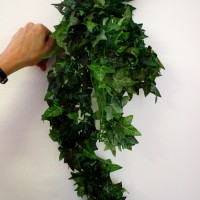 Ivy Sprig Medium