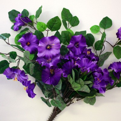 Purple Petunias
