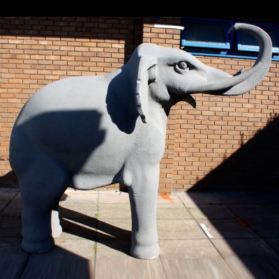 Elephant