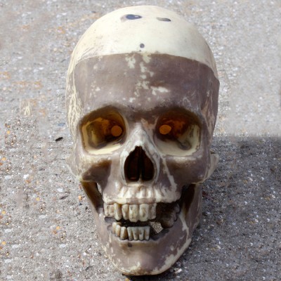 Faux Skull