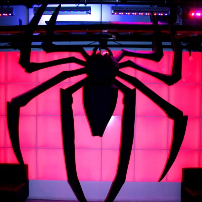 Giant Spider
