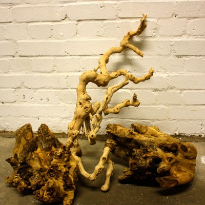 Driftwood