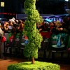 Topiary Twist