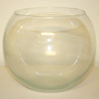Clear Glass Globe Bowl