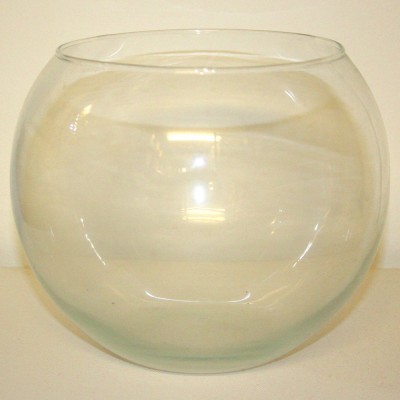 Clear Glass Globe Bowl